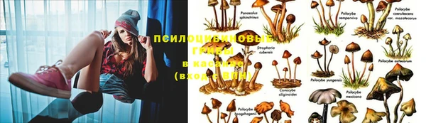 МДМА Мегион