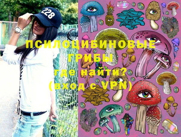 сатива Медвежьегорск