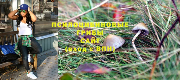 марки lsd Медногорск