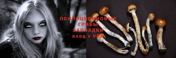 сатива Медвежьегорск
