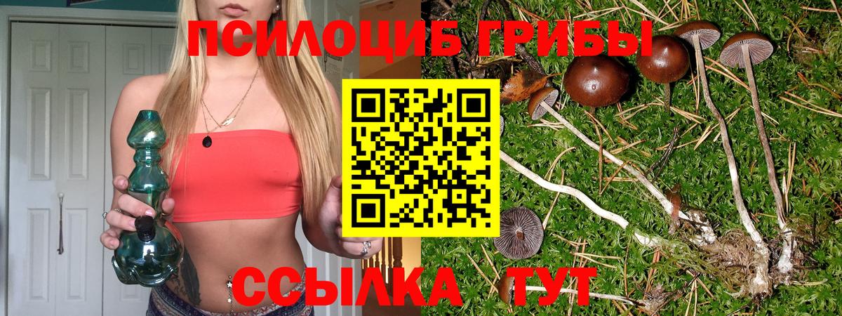 Галлюциногенные грибы GOLDEN TEACHER Учалы