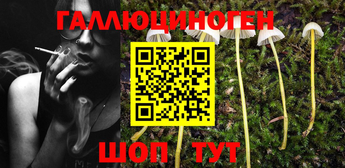 Учалы  Псилоцибиновые грибы GOLDEN TEACHER  Вход с VPN 